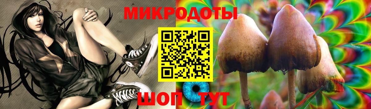 Псилоцибиновые грибы GOLDEN TEACHER Кириши