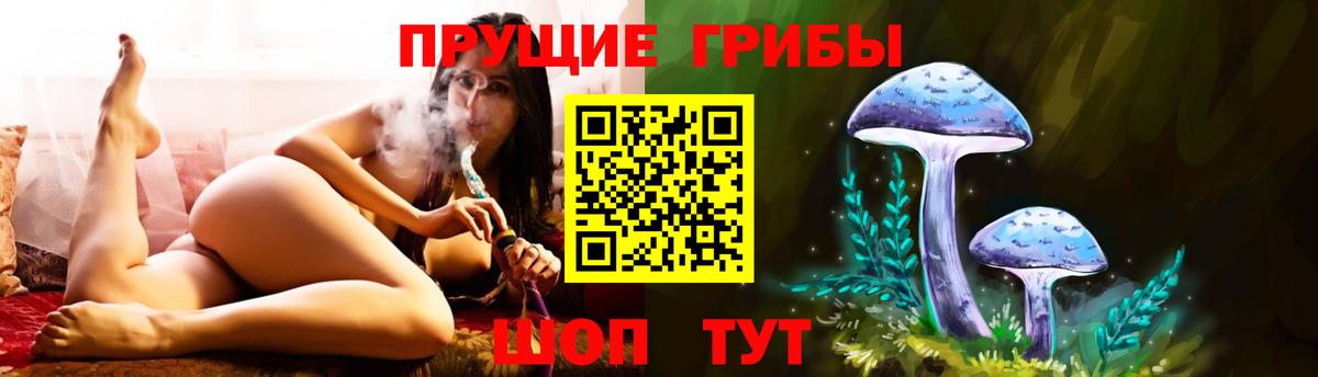 Псилоцибиновые грибы Magic Shrooms  Вход с VPN  Кириши  Галлюциногенные грибы Magic Shrooms 